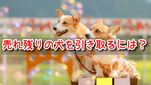 東京 ペットショップ売れ残りの犬を引き取りたい 譲渡会 場所 里親 費用 2022 最新