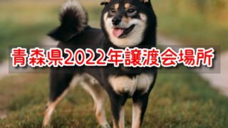 青森 ペットショップ売れ残りの犬を引き取りたい 2022年 譲渡会 場所 里親 費用カ