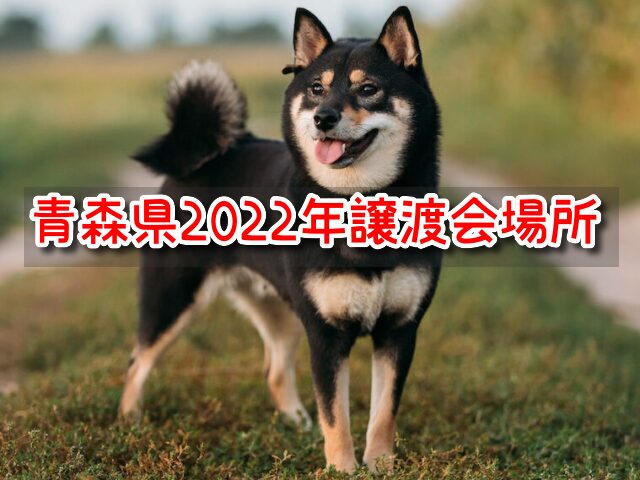 青森 ペットショップ売れ残りの犬を引き取りたい 2022年 譲渡会 場所 里親 費用カ