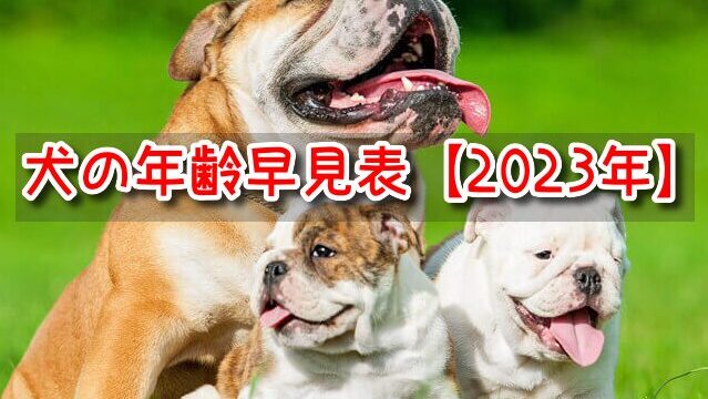 犬の年齢早見表　2023
