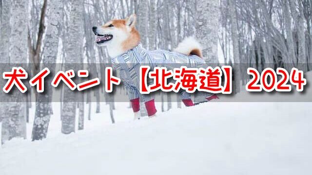 犬のイベント　北海道
