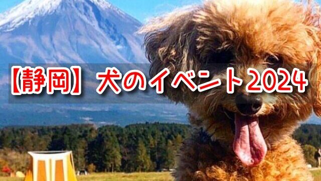 静岡県　犬のイベント