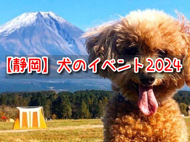 静岡県　犬のイベント