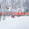 犬のイベント　北海道
