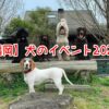 福岡　犬のイベント